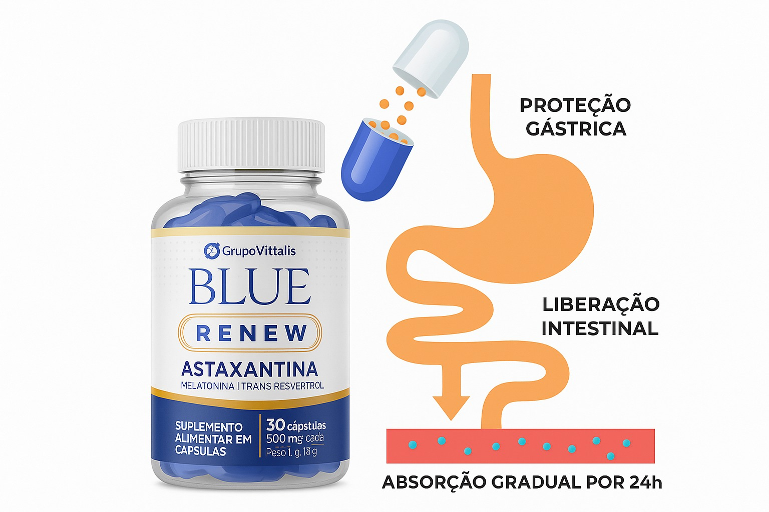 Cápsula com proteção gástrica, liberação intestinal e absorção gradual por 24 horas
